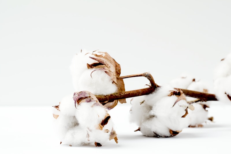 Can Cotton Be Composted?