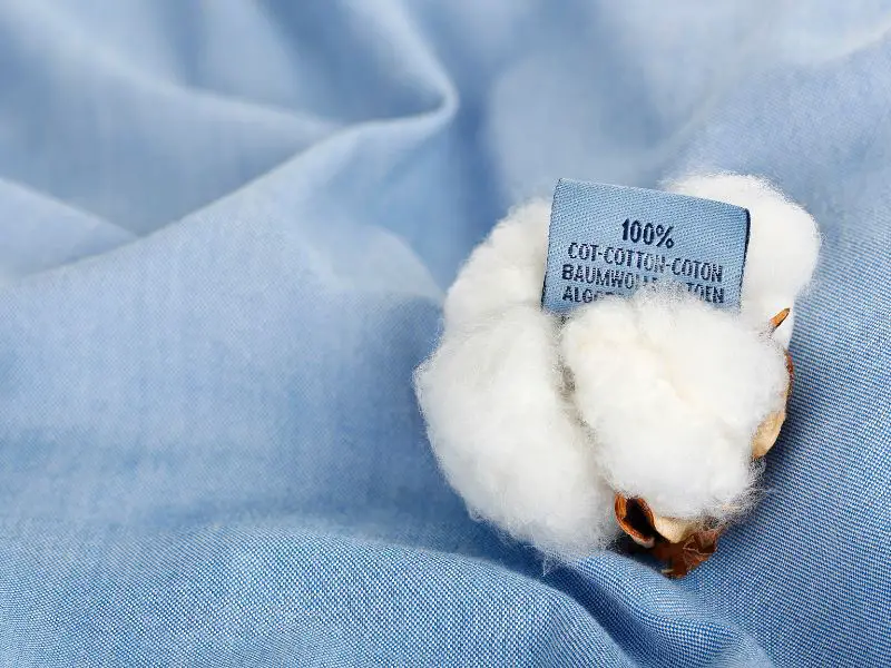 How Does Cotton Look Like?