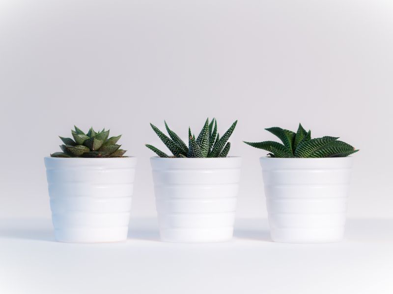 Do Fabric Pots Need To Be Elevated? (The Pros and Cons)