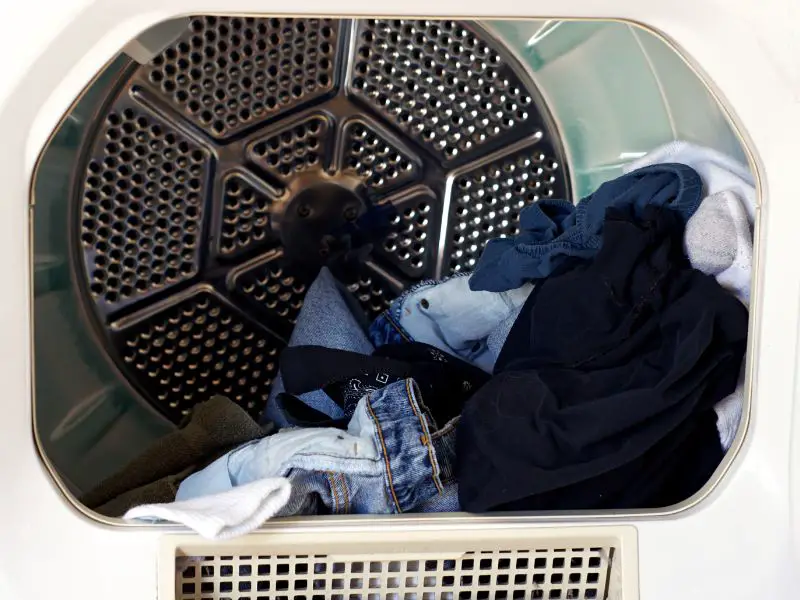 Will Denim Shrink In The Dryer? (High Heat)