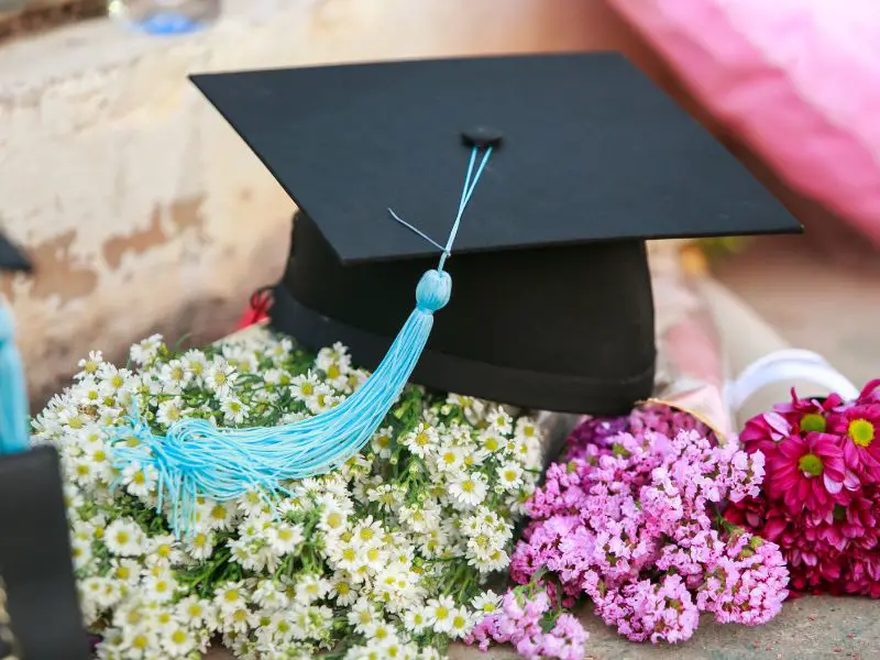 Graduation Cap: 10 Creative Ways to Display Your Pride