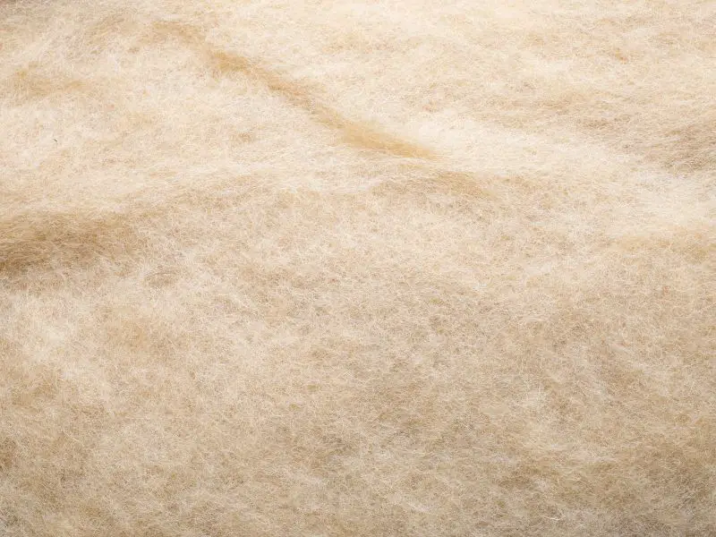 wool rug plain
