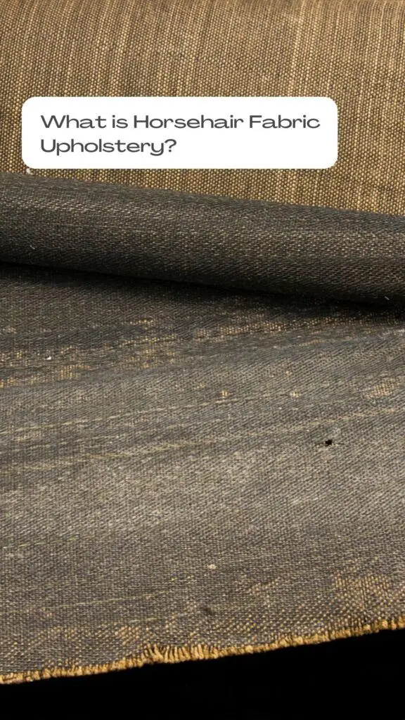 What Is Horsehair Fabric Used For? (Sofa and Chair Furniture)